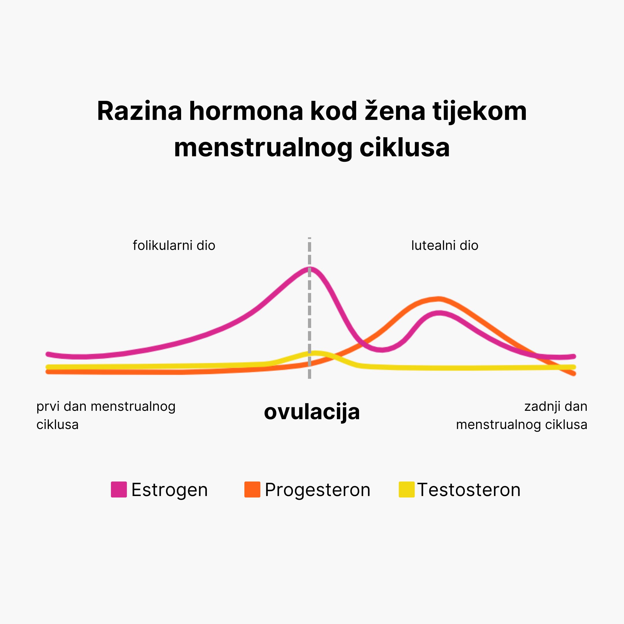 (Chorvatština) (6)